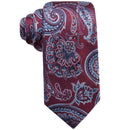 Tasso Elba Mens Paisley Silk Tie